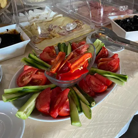 Πανσιόν Vista виста 4*